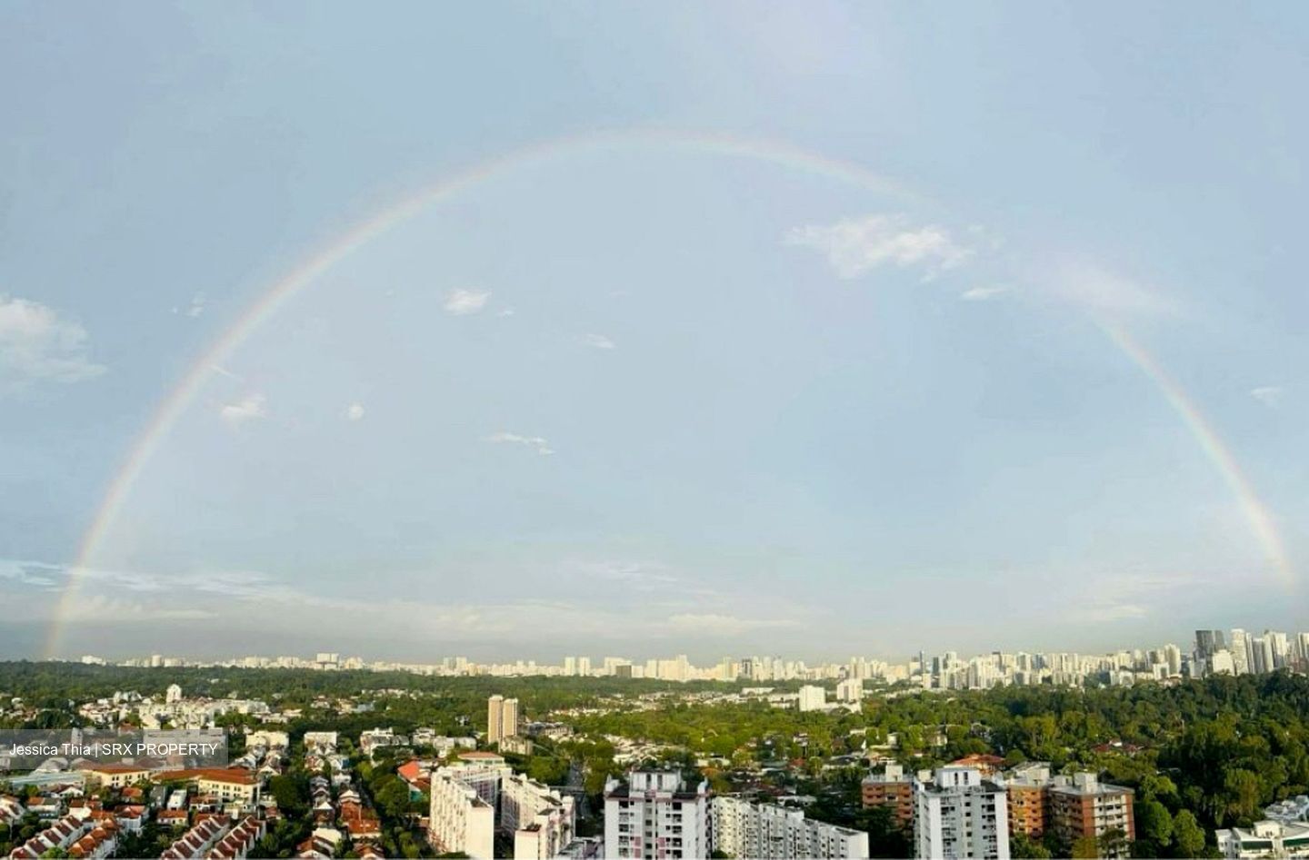 D'Leedon (D10), Condominium #449214011